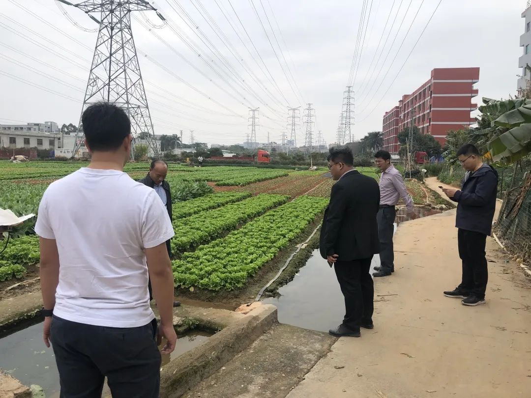 助力村落振兴，优德88一向在致力！