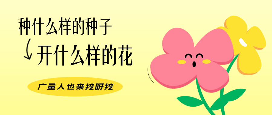 量圈儿NO.104丨优德88人的幼幼花圃，挖到宝了！