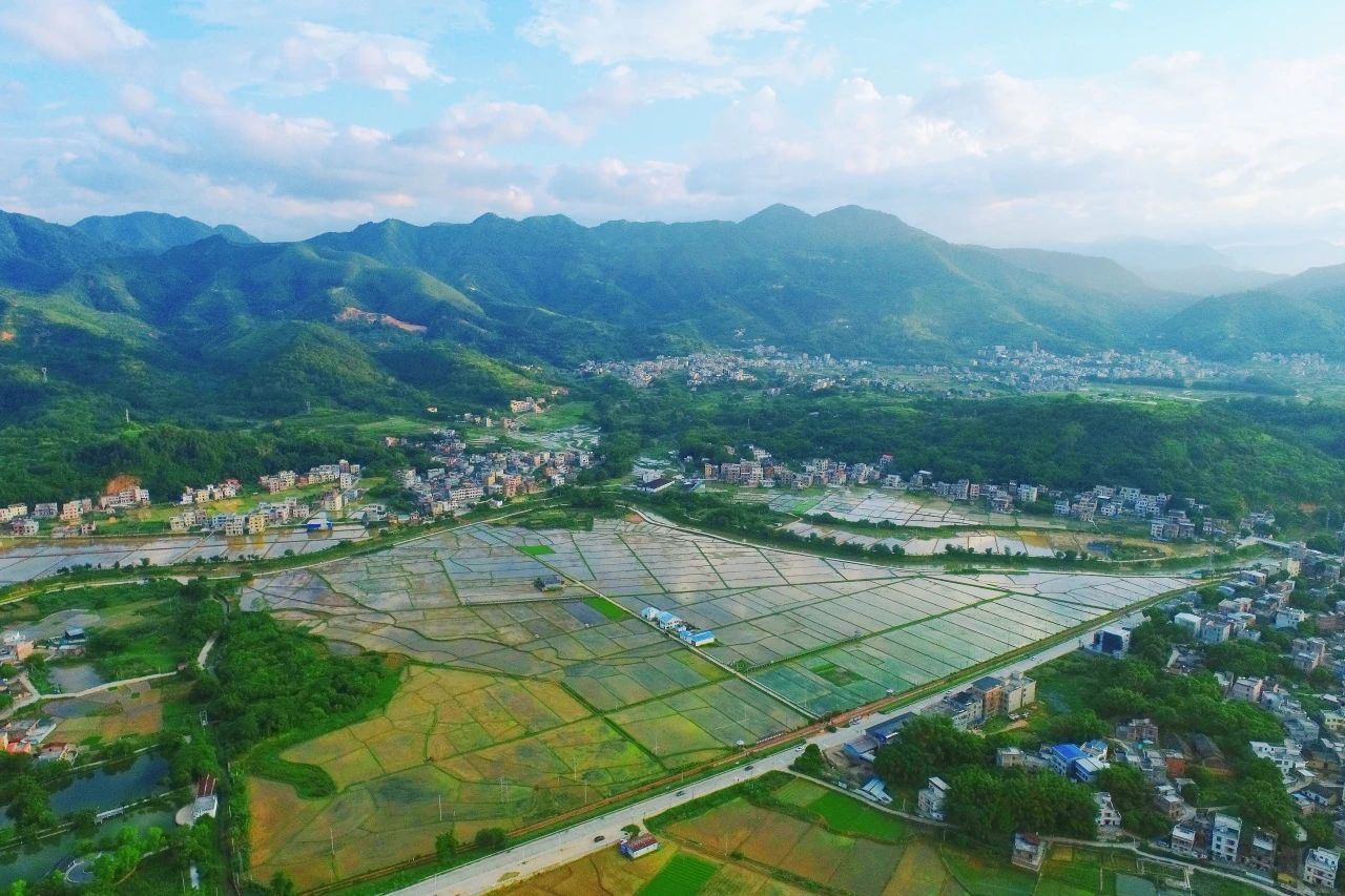 优德88集团丨“百千万工程”显实效：云浮罗定泗纶镇以全域地皮综合整治为抓手，绘就村落振兴新画卷